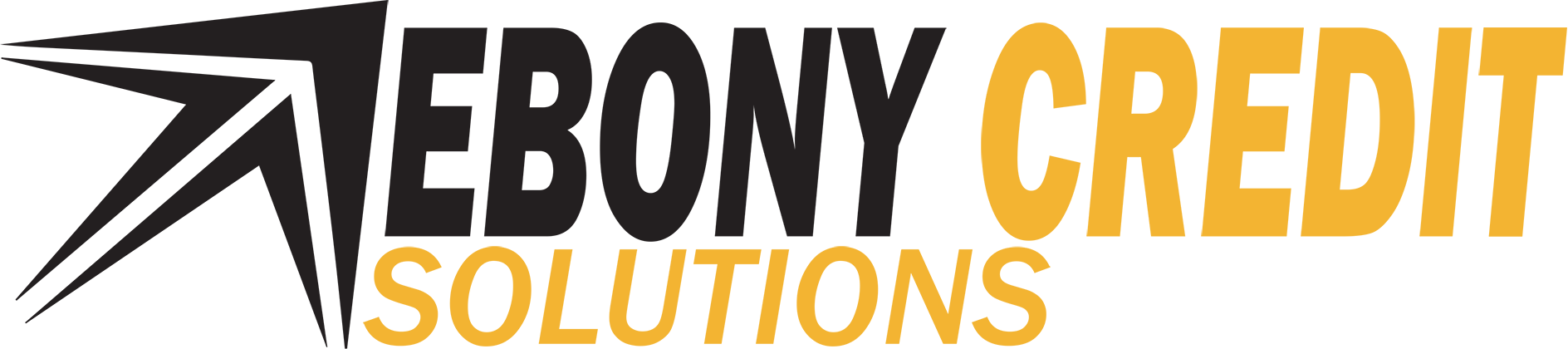 Ebony Credit Solutions